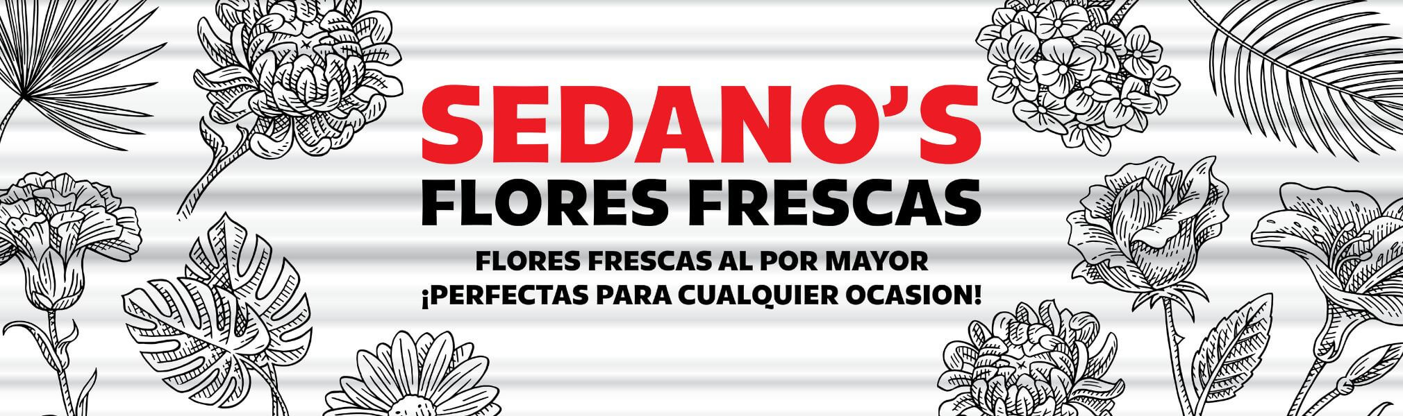 Flores Frescas Al Por Mayor | Perfecta Para Cualquier Ocasion | Sedanos.com