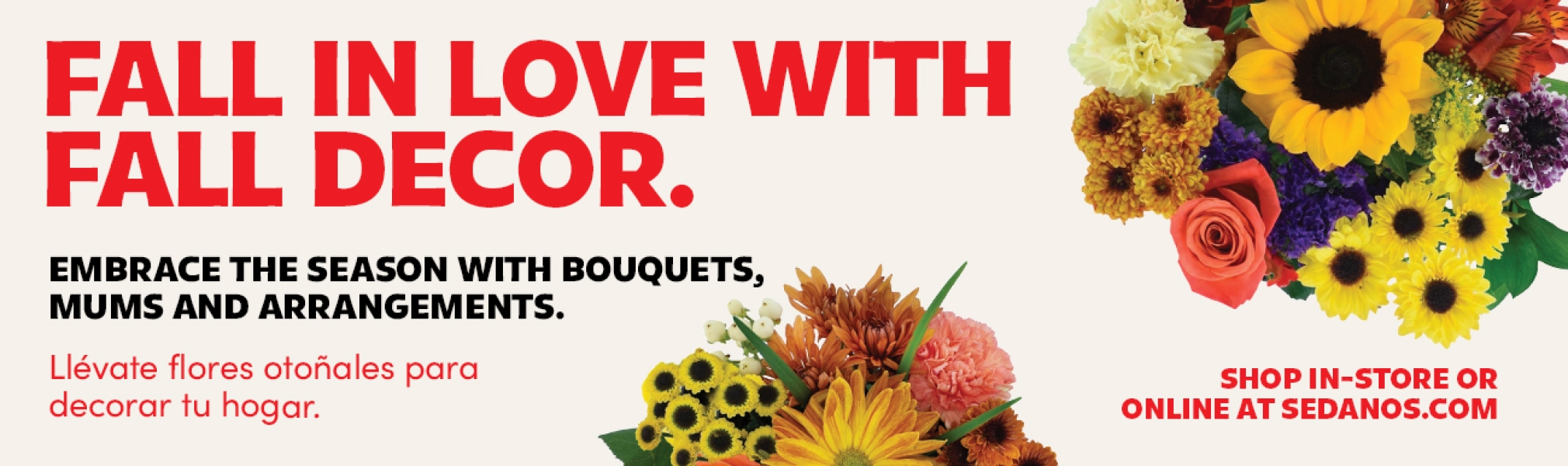Fall in love with fall decor. Embrace the season with bouquets, mums and arrangements. Llévate flores otoñales para decorar tu hogar. Shop in-store or online at sedanos.com. Fall bouquets shown with sunflowers, roses, carnations, and mums.