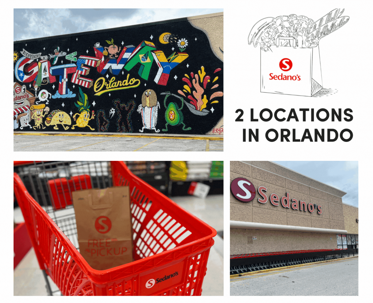 Sedanos.com 2 Locations in Orlando | Shop Online